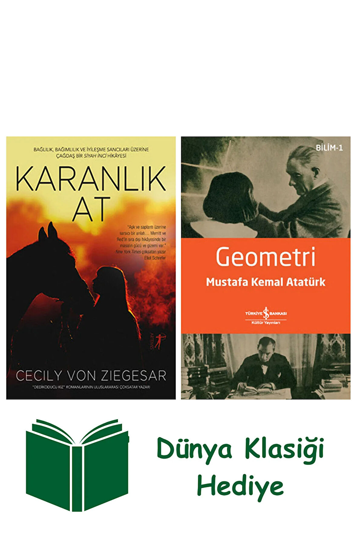 Karanlık At + Geometri + Dünya Klasiği Hediye