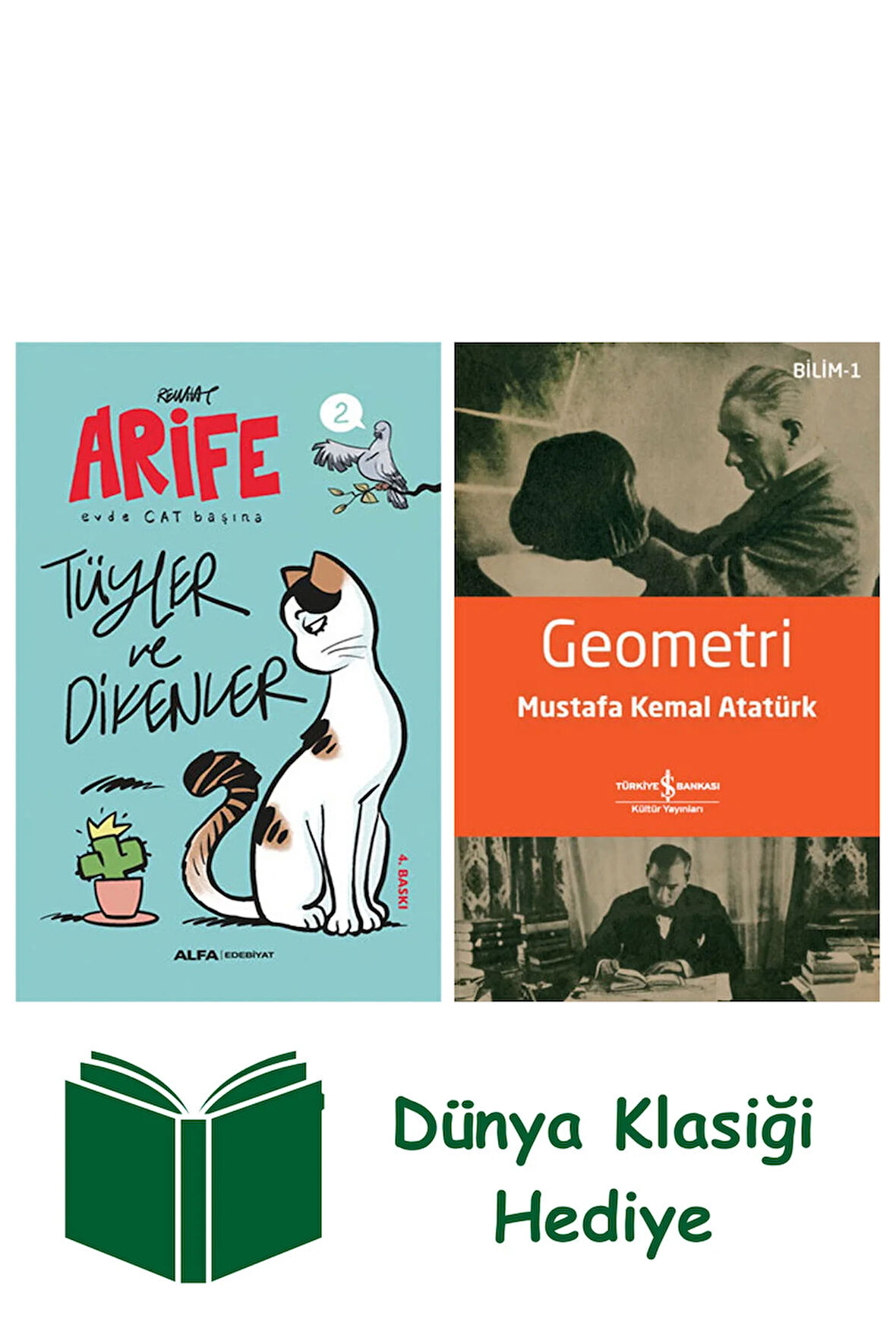 Arife - Tüyler ve Dikenler + Geometri + Dünya Klasiği Hediye