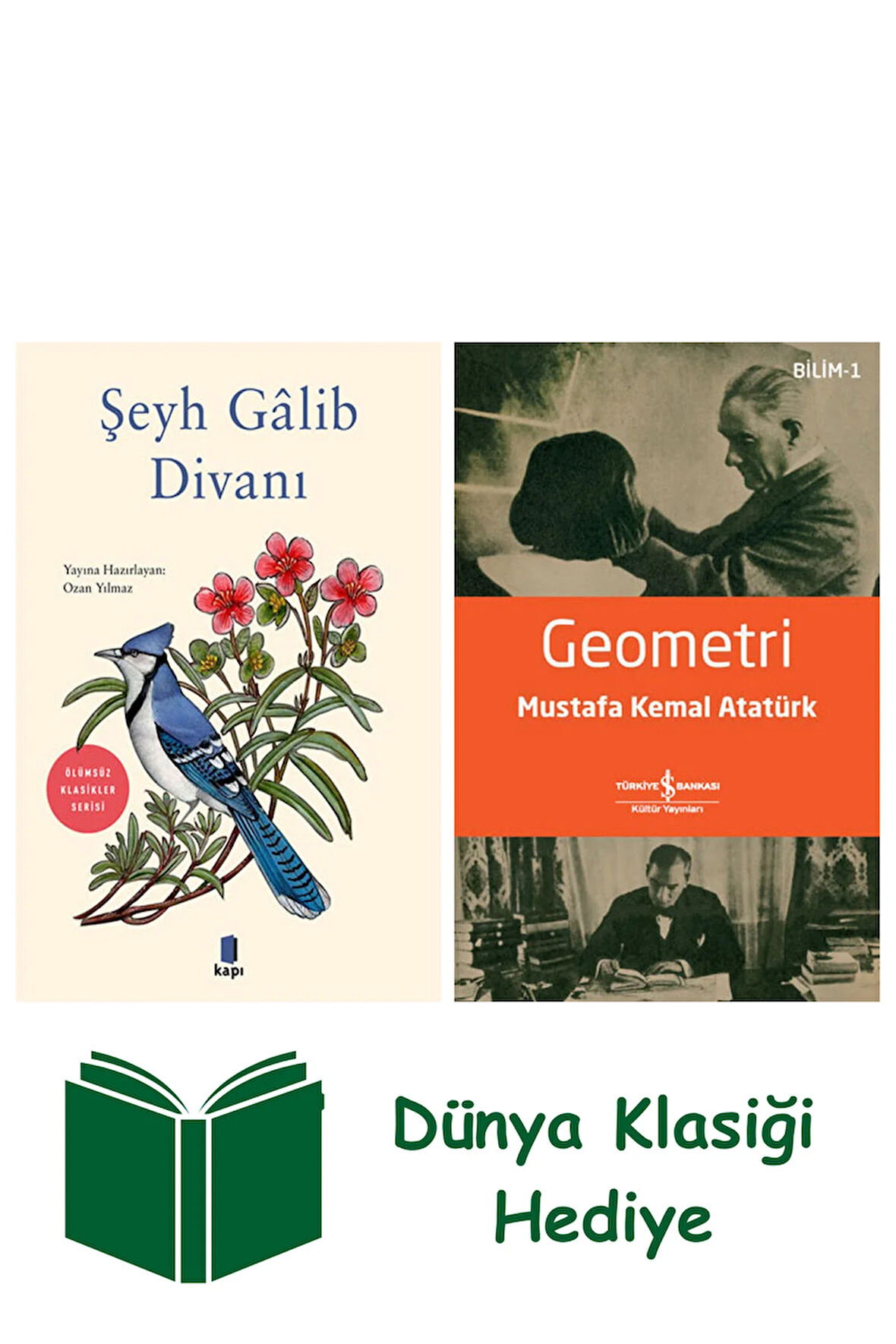 Şeyh Gâlib Divanı + Geometri + Dünya Klasiği Hediye