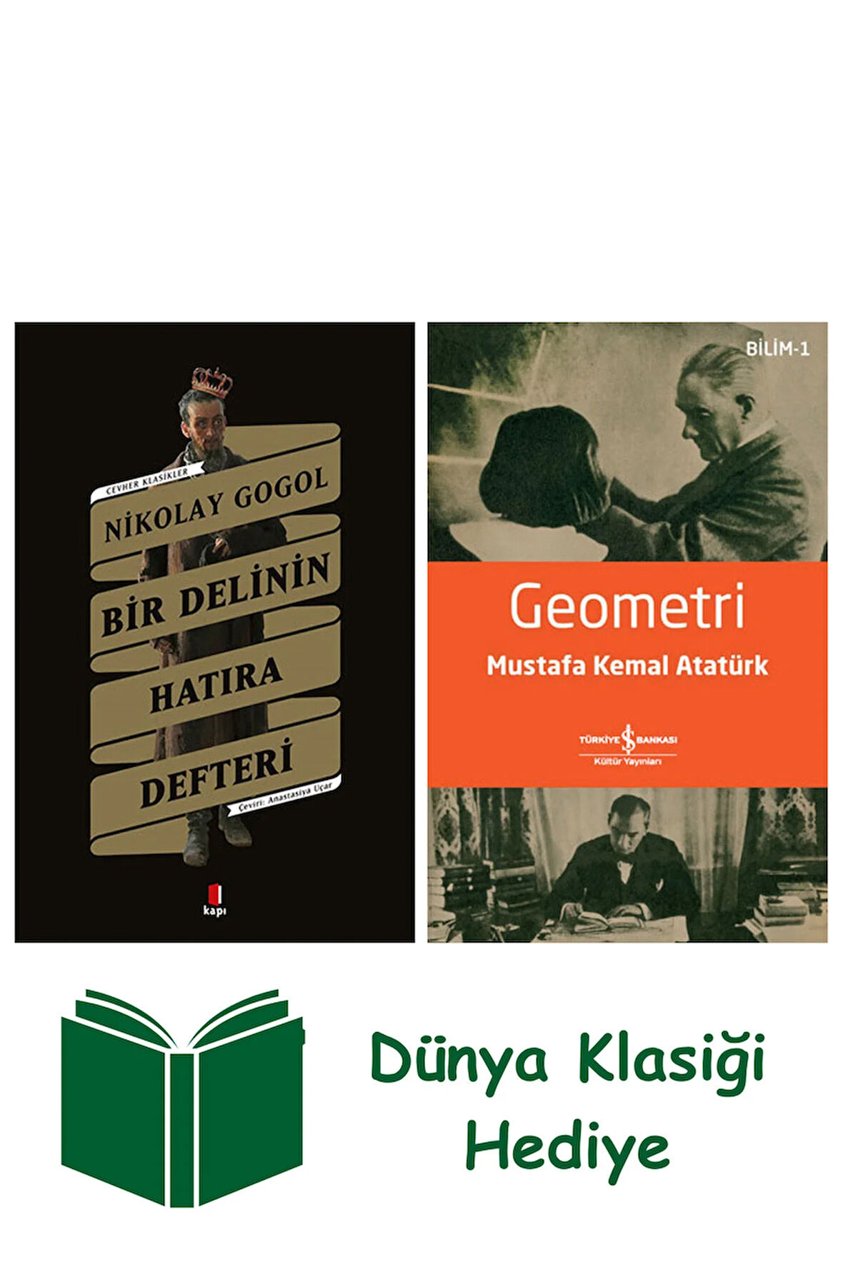 Bir Delinin Hatıra Defteri + Geometri + Dünya Klasiği Hediye