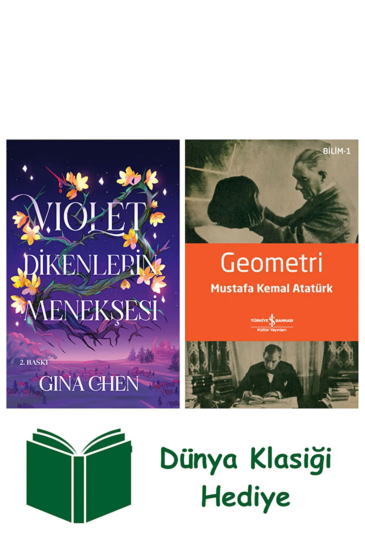 Violet Dikenlerin Menekşesi + Geometri + Dünya Klasiği Hediye
