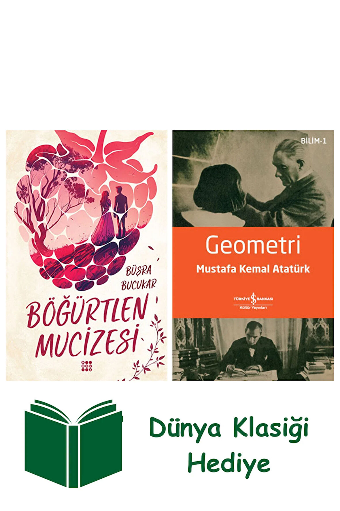 Böğürtlen Mucizesi + Geometri + Dünya Klasiği Hediye