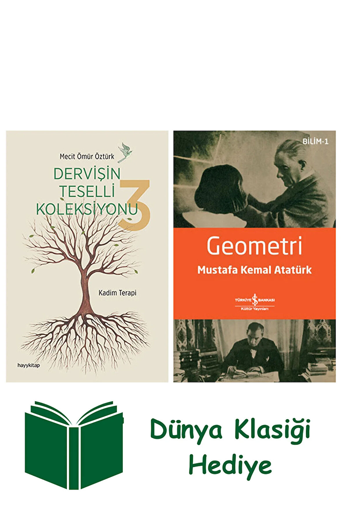 Dervişin Teselli Koleksiyonu 3 - Kadim Terapi + Geometri + Dünya Klasiği Hediye