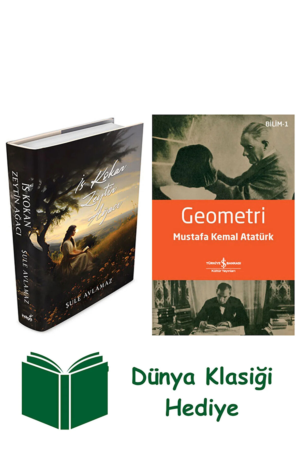 İs Kokan Zeytin Ağacı (Ciltli) + Geometri + Dünya Klasiği Hediye