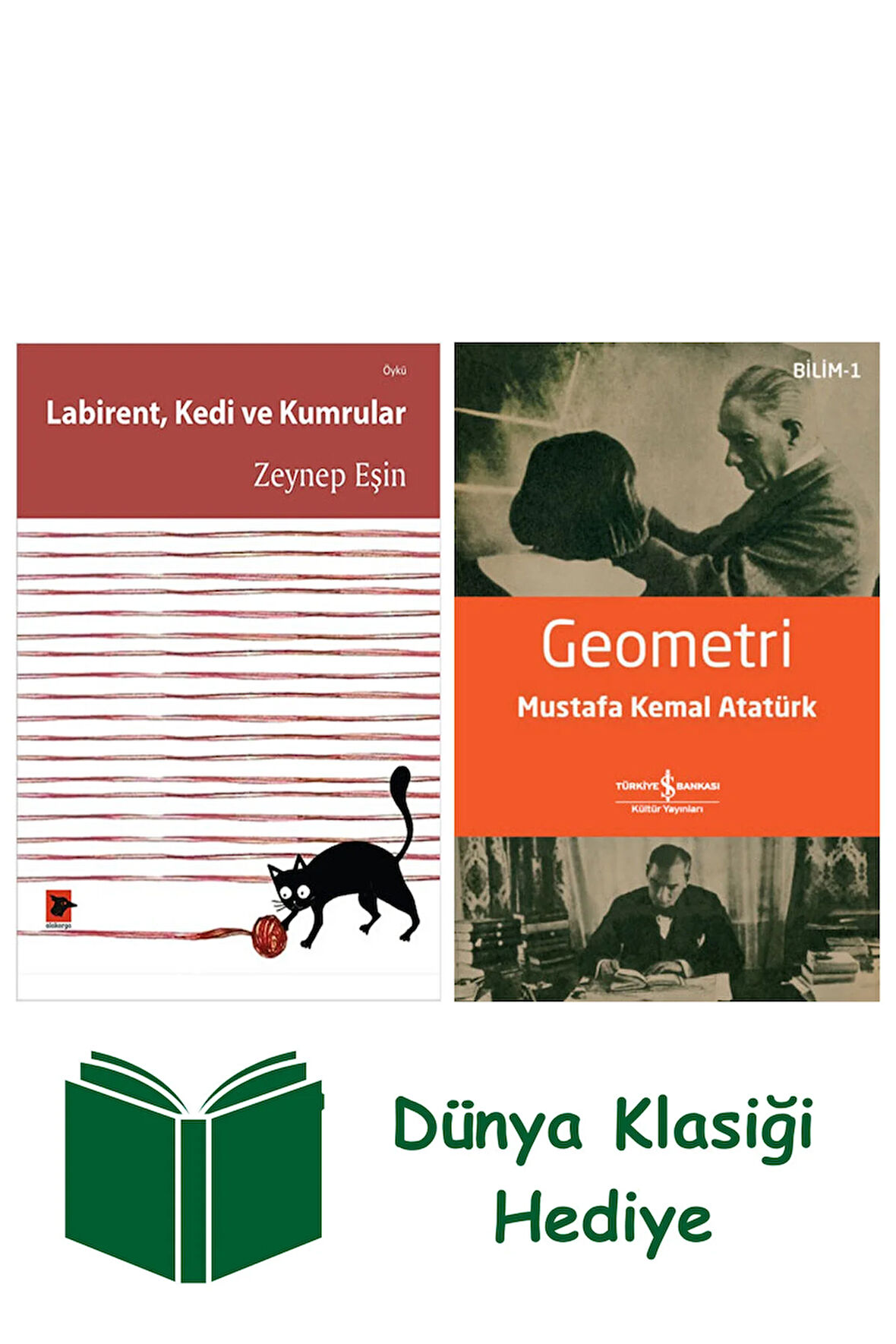 Labirent, Kedi ve Kumrular + Geometri + Dünya Klasiği Hediye