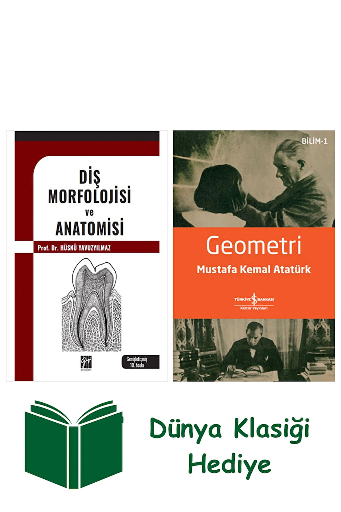 Diş Morfolojisi ve Anatomisi + Geometri + Dünya Klasiği Hediye