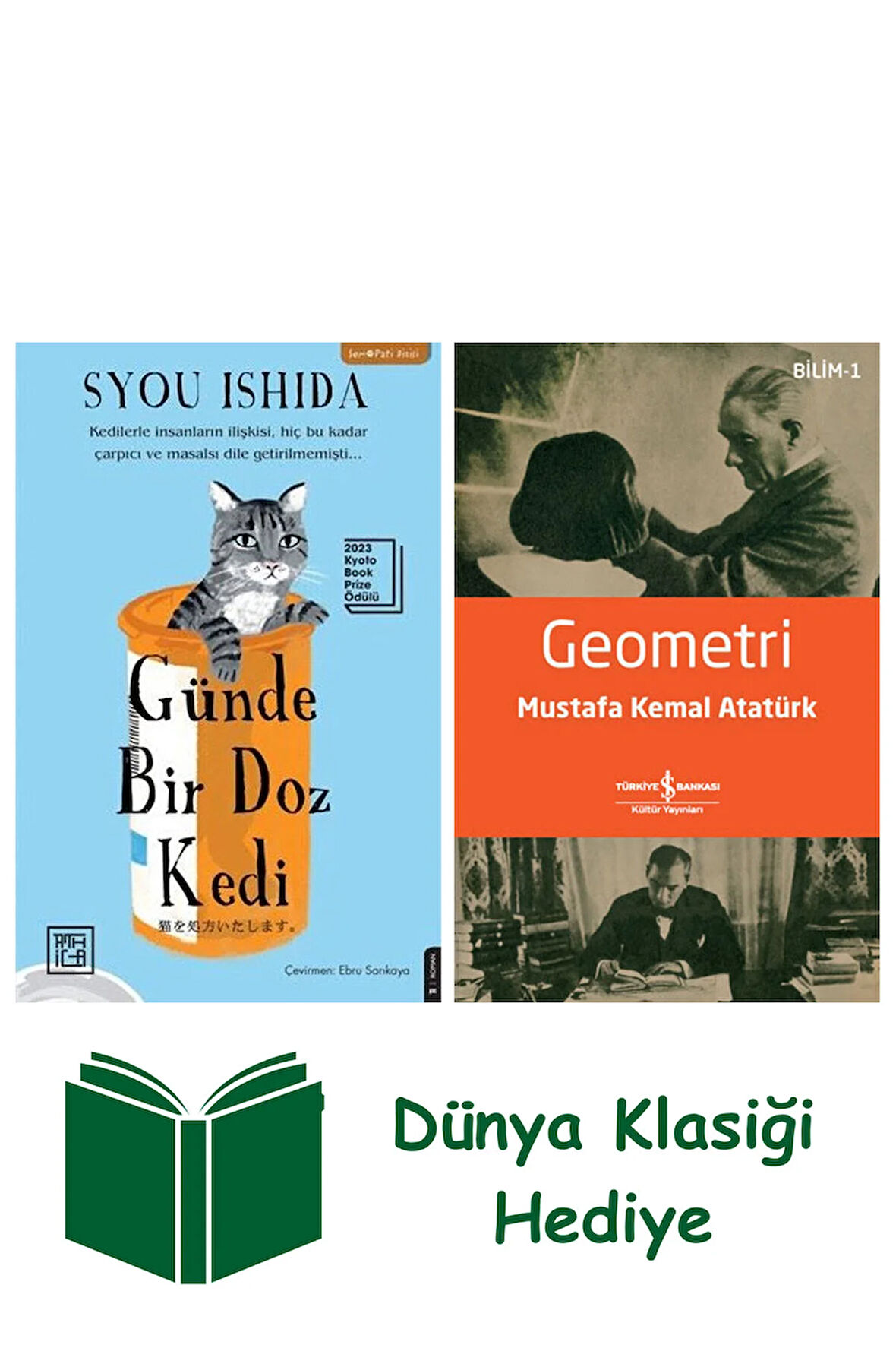 Günde Bir Doz Kedi + Geometri + Dünya Klasiği Hediye