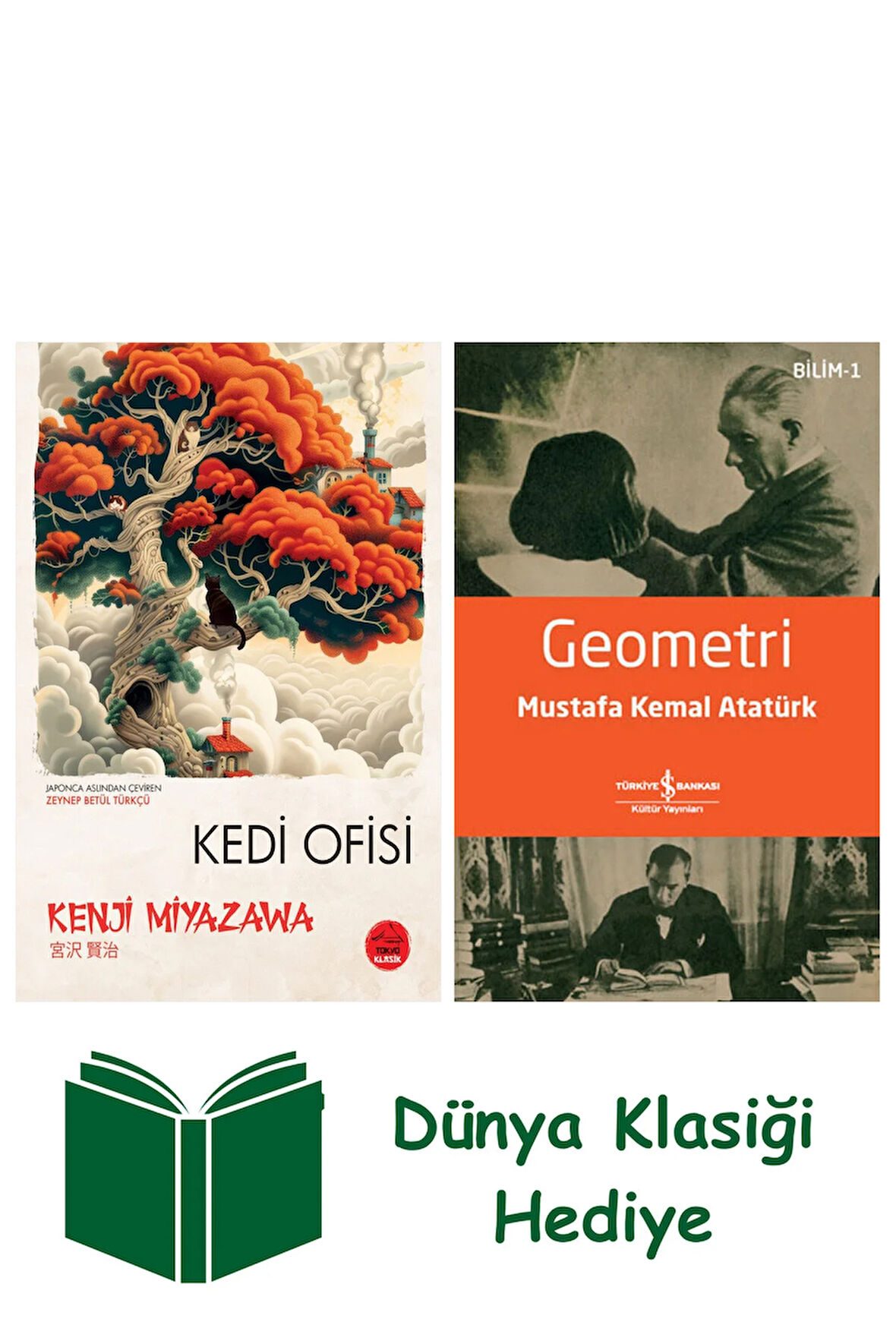 Kedi Ofisi + Geometri + Dünya Klasiği Hediye