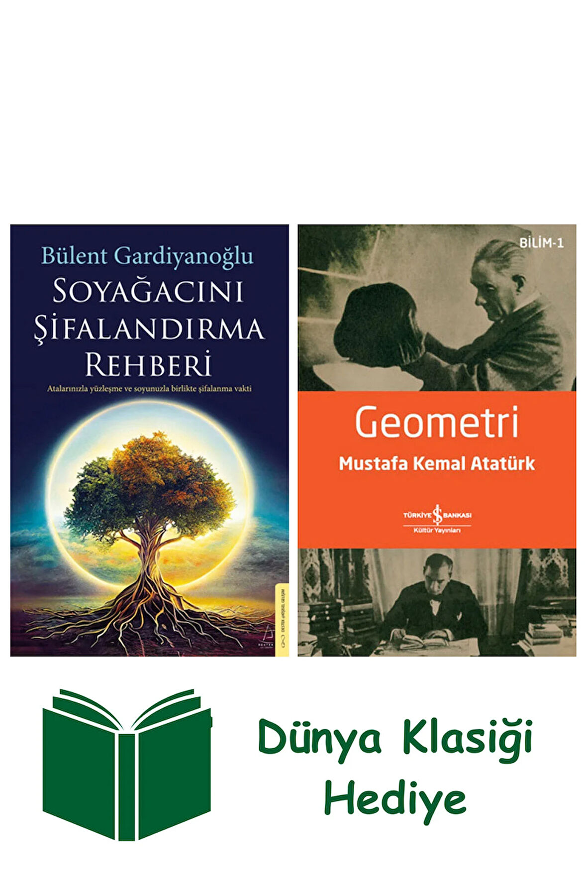 Soyağacını Şifalandırma Rehberi + Geometri + Dünya Klasiği Hediye