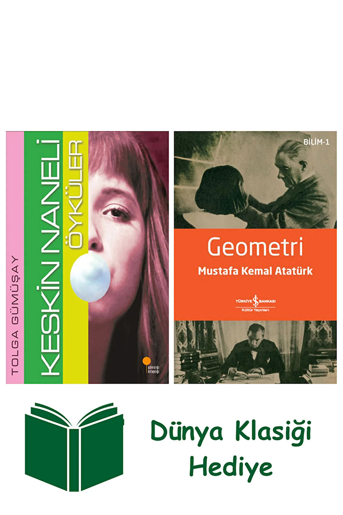Keskin Naneli Öyküler + Geometri + Dünya Klasiği Hediye