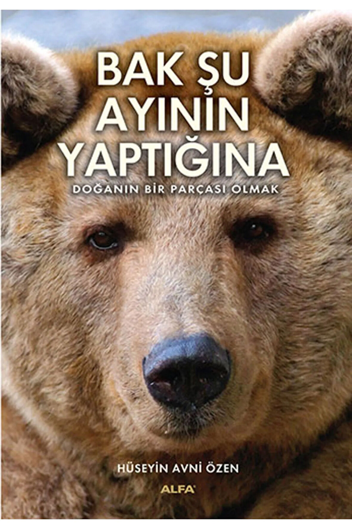 Bak Şu Ayının Yaptığına + Yapışkanlı Not Kağıdı