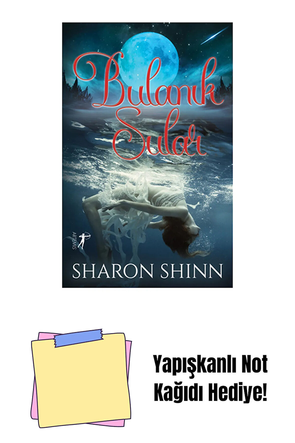 Bulanık Sular + Yapışkanlı Not Kağıdı