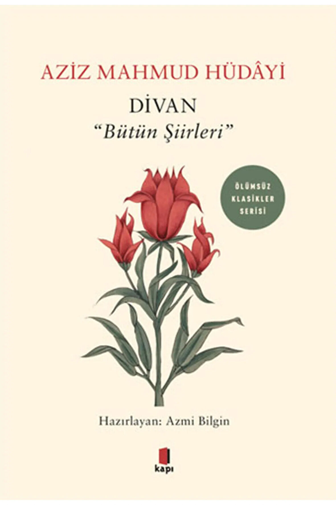 Divan - "Bütün Şiirleri" + Yapışkanlı Not Kağıdı