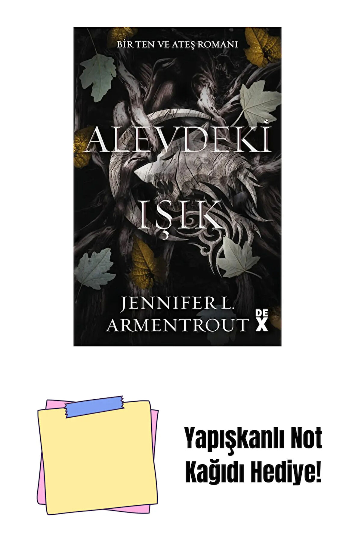 Alevdeki Işık - Sc + Yapışkanlı Not Kağıdı