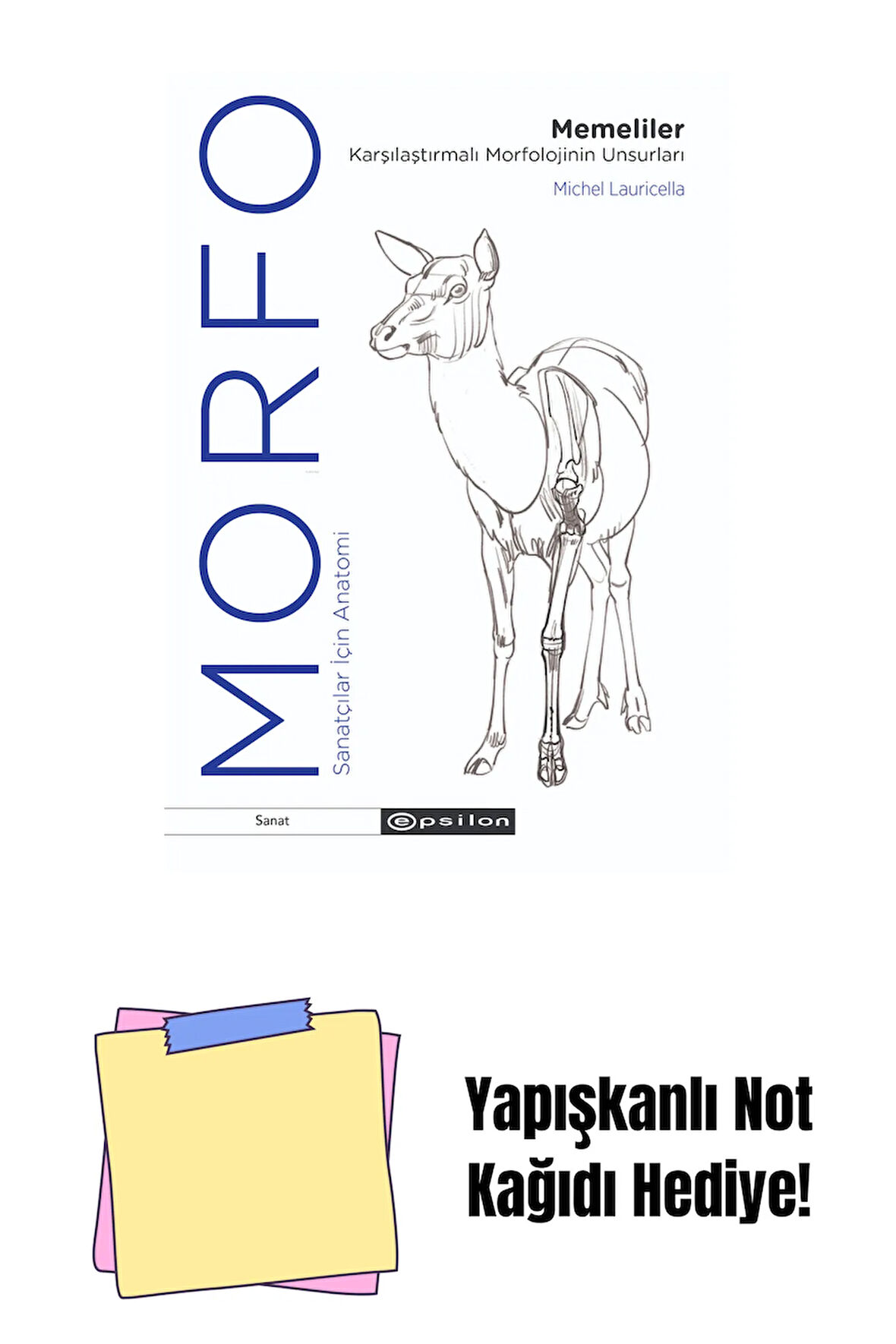 Morfo - Memeliler Karşılaştırmalı Morfolojinin Un + Yapışkanlı Not Kağıdı