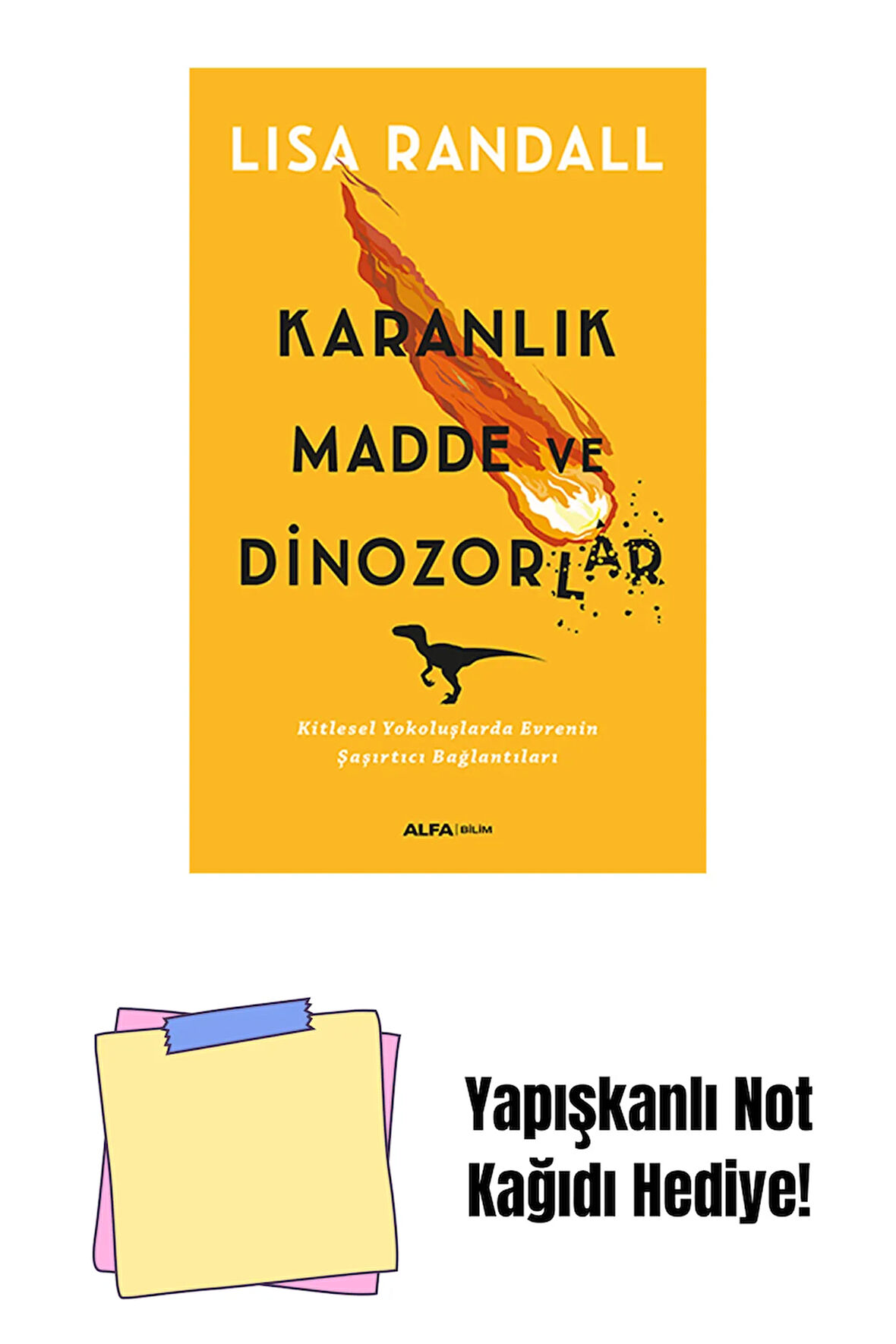 Karanlık Madde ve Dinozorlar + Yapışkanlı Not Kağıdı