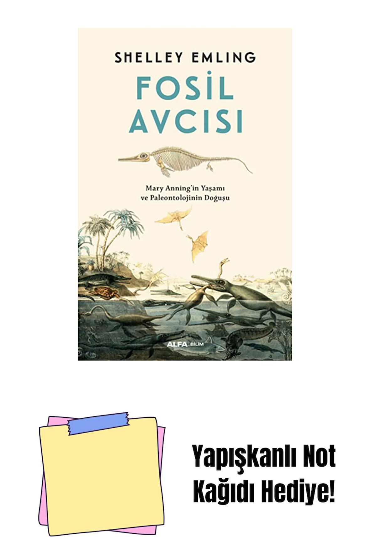 Fosil Avcısı + Yapışkanlı Not Kağıdı