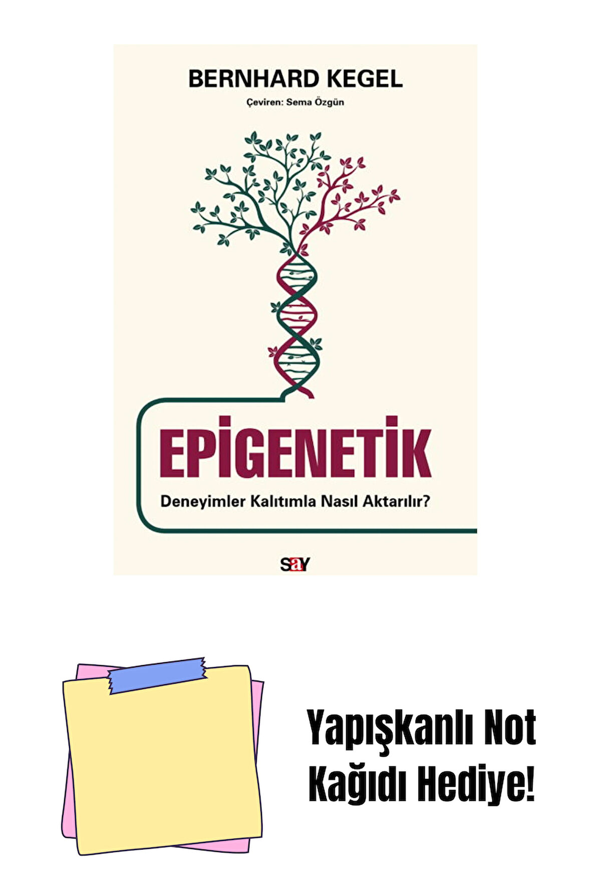Epigenetik + Yapışkanlı Not Kağıdı