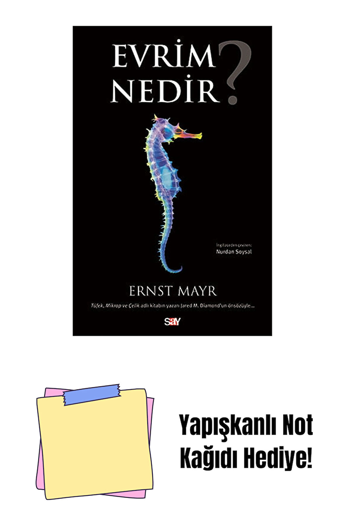 Evrim Nedir? + Yapışkanlı Not Kağıdı