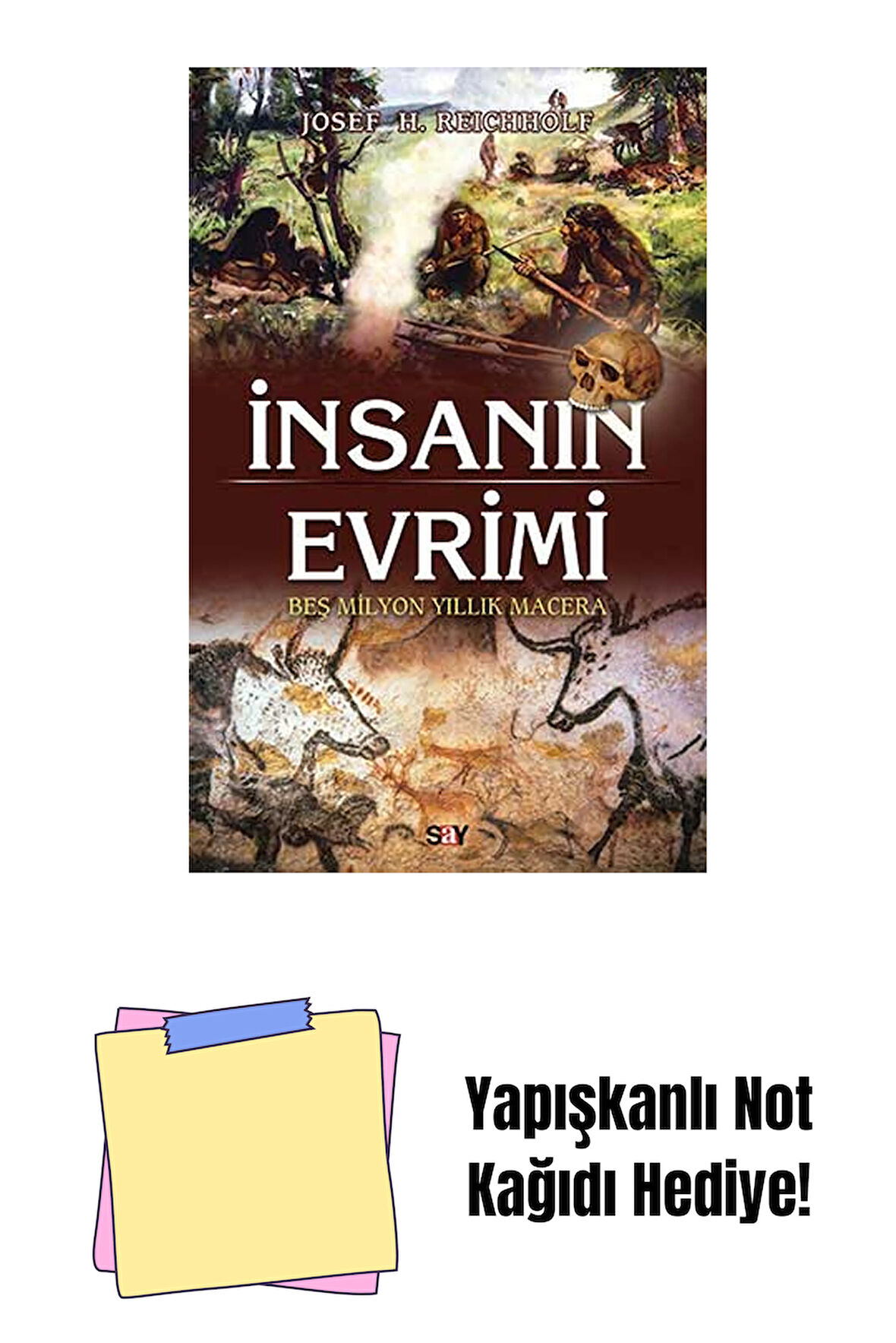 İnsanın Evrimi + Yapışkanlı Not Kağıdı