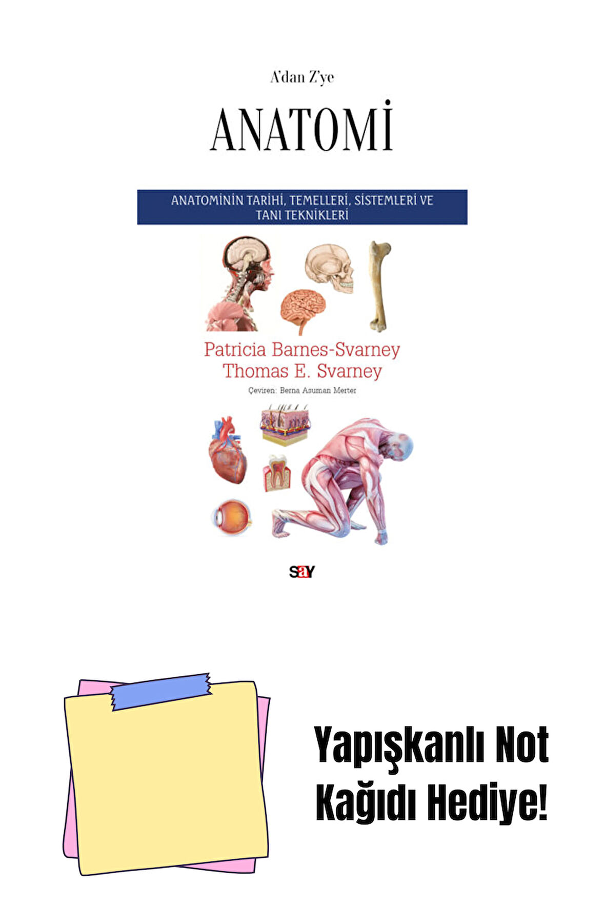 A’dan Z’ye Anatomi + Yapışkanlı Not Kağıdı