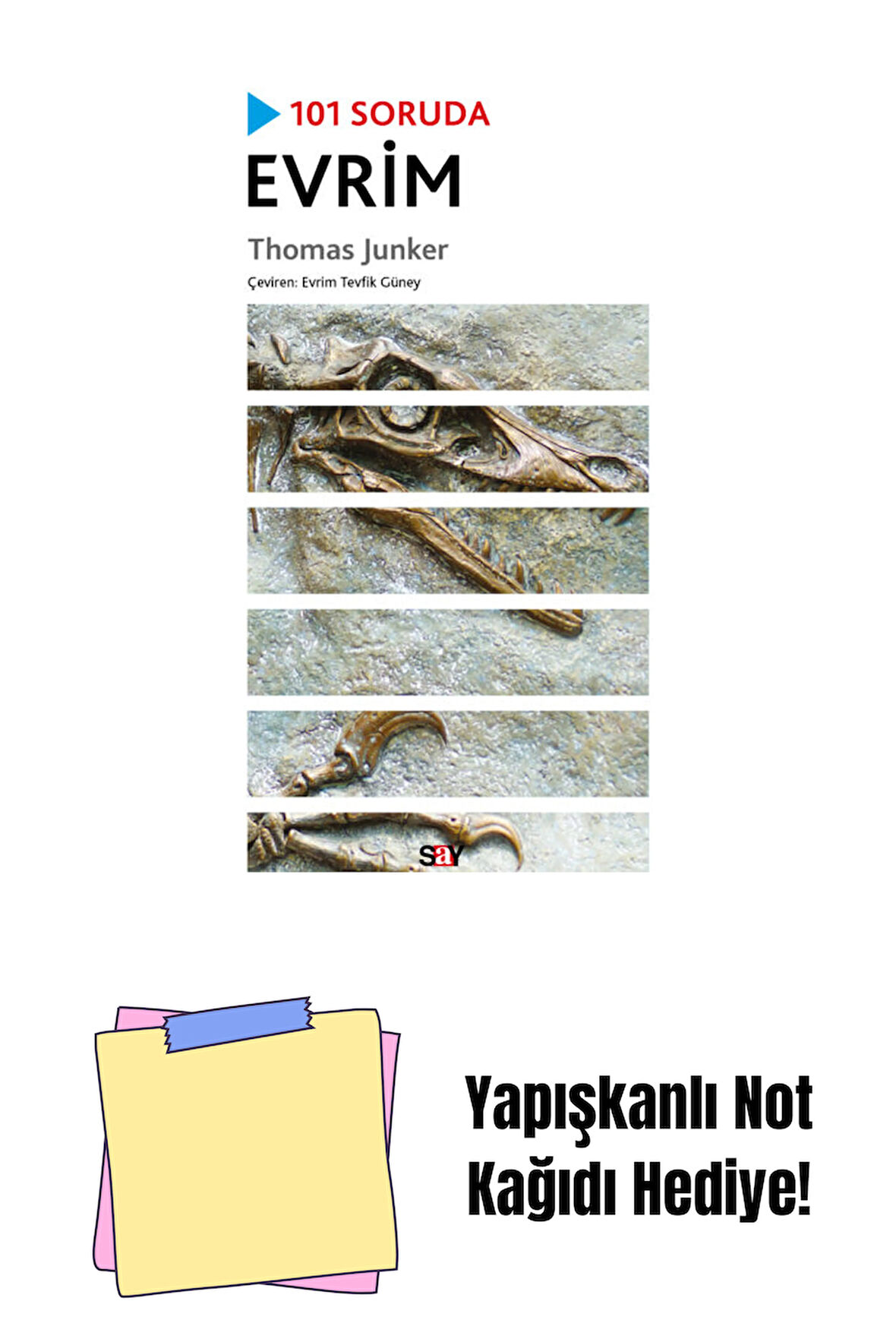 101 Soruda Evrim + Yapışkanlı Not Kağıdı
