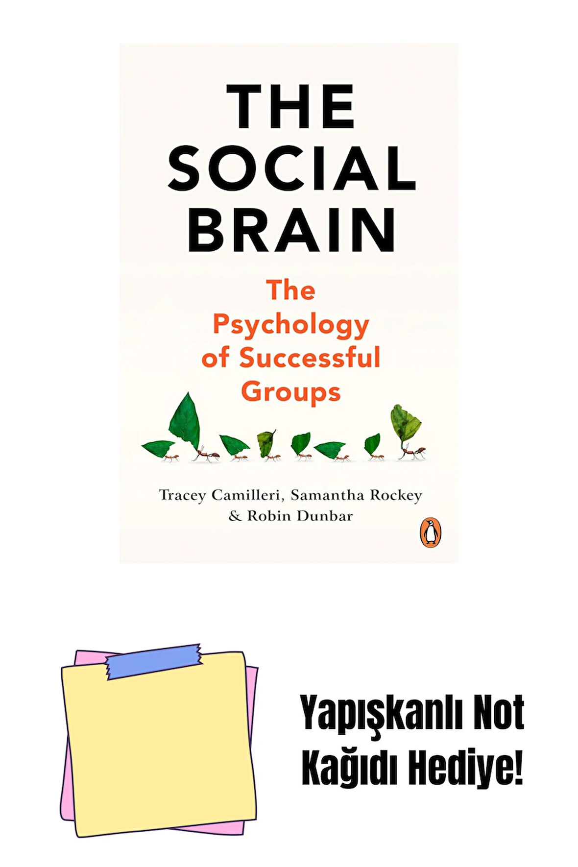The Social Brain: The Psychology of Successful Groups + Yapışkanlı Not Kağıdı