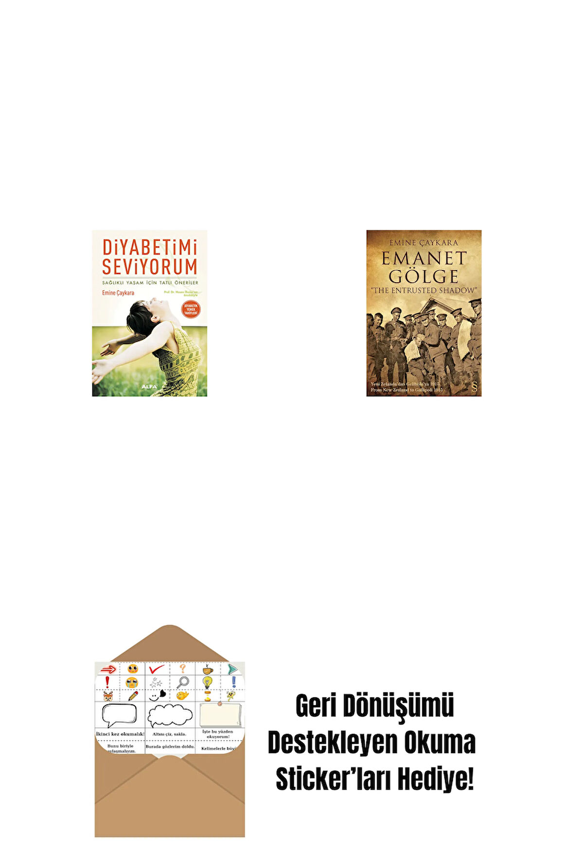 Diyabetimi Seviyorum + Emanet Gölge + Okuma Sticker'ları