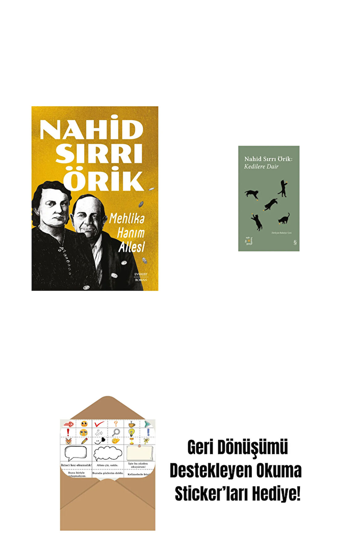 Mehlika Hanım Ailesi + Everest Açıkhava 29 - Kedilere Dair + Okuma Sticker'ları