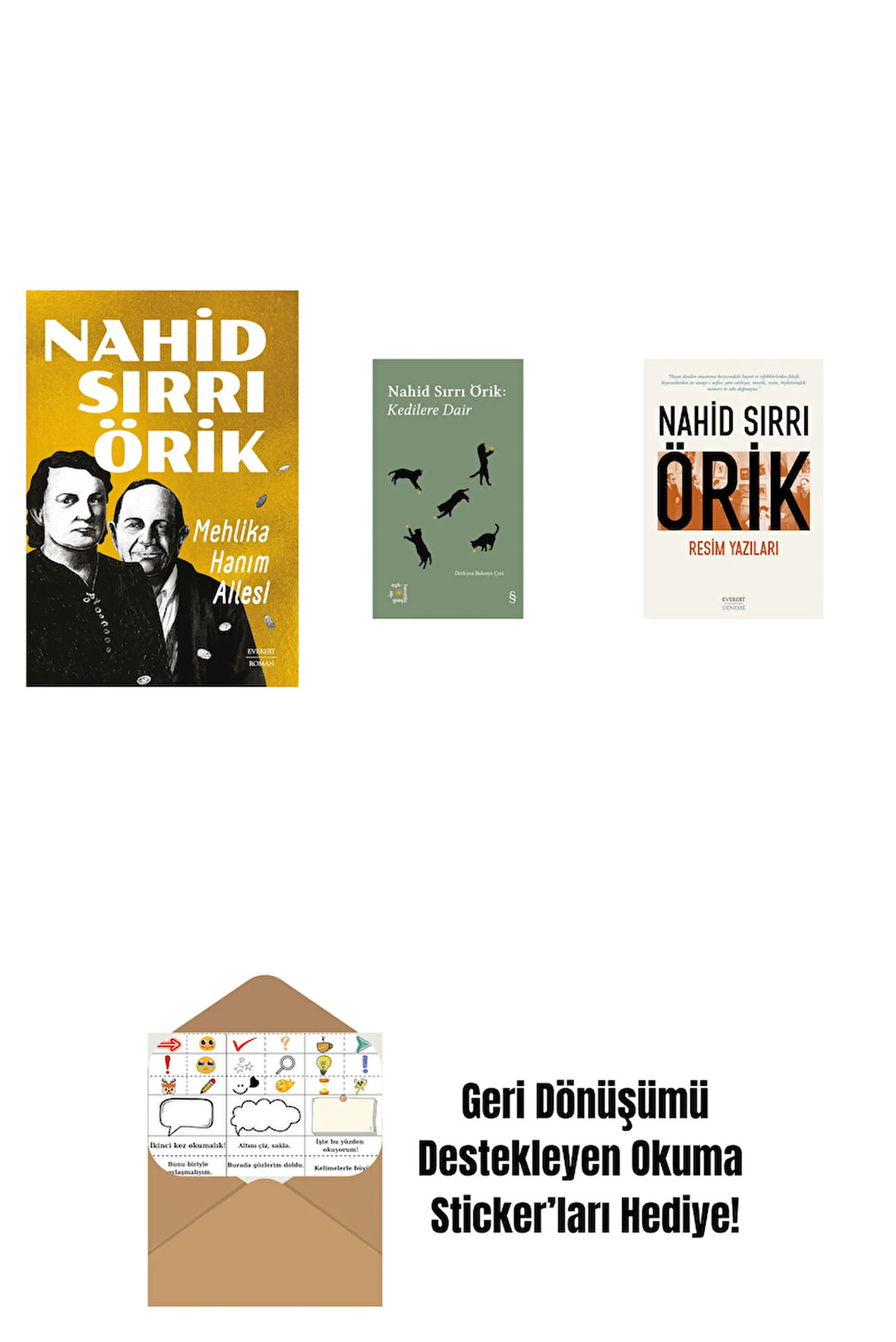 Mehlika Hanım Ailesi + Everest Açıkhava 29 - Kedilere Dair + Resim Yazıları + Okuma Sticker'ları