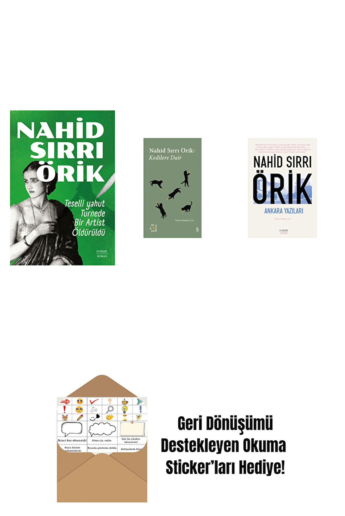 Teselli yahut Turnede  Bir Artist Öldürüldü + Everest Açıkhava 29 - Kedilere Dair + Ankara Yazıları + Okuma Sticker'ları