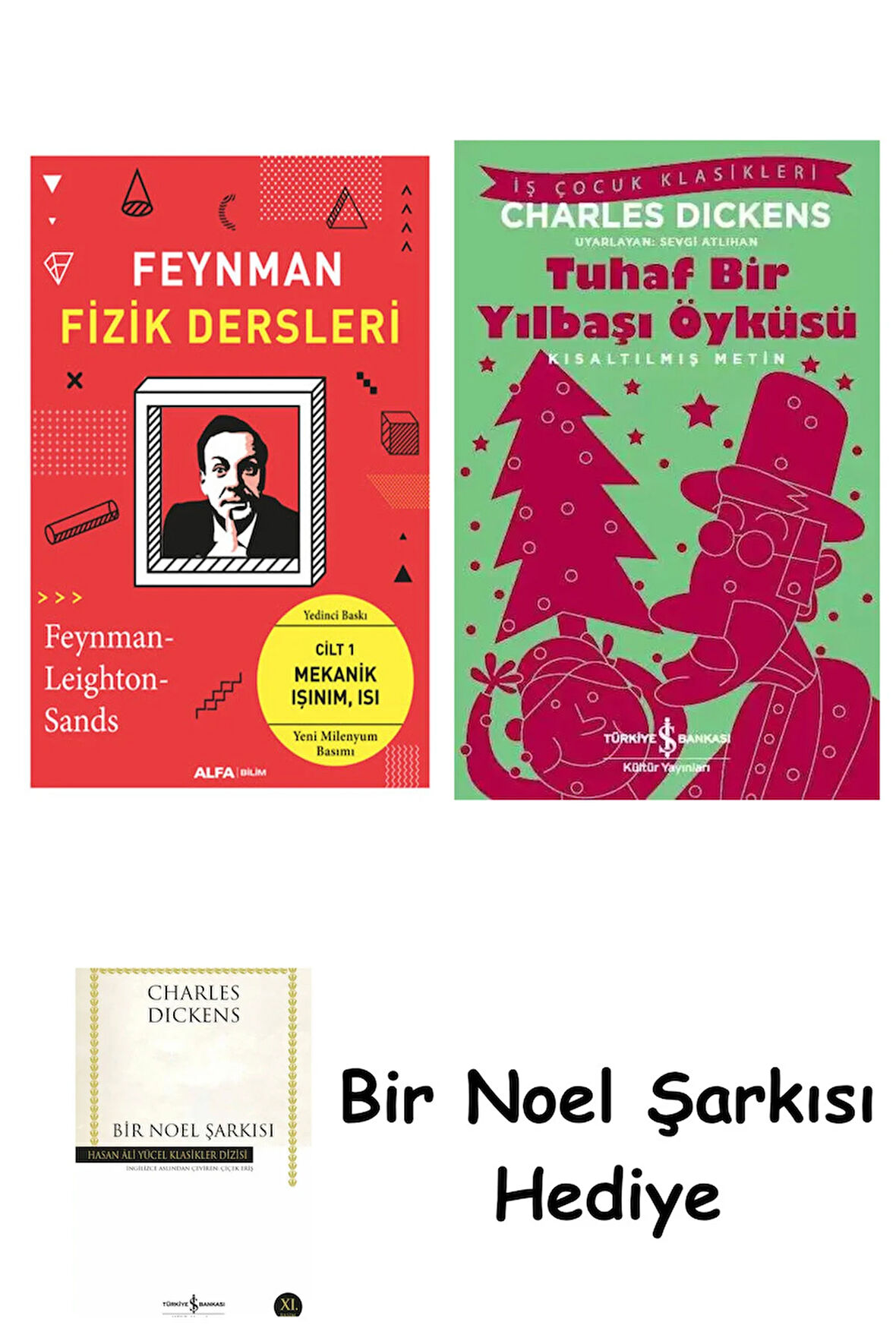 Feynman Fizik Dersleri - Cilt 1 + Tuhaf Bir Yılbaşı Öyküsü + Bir Noel Şarkısı
