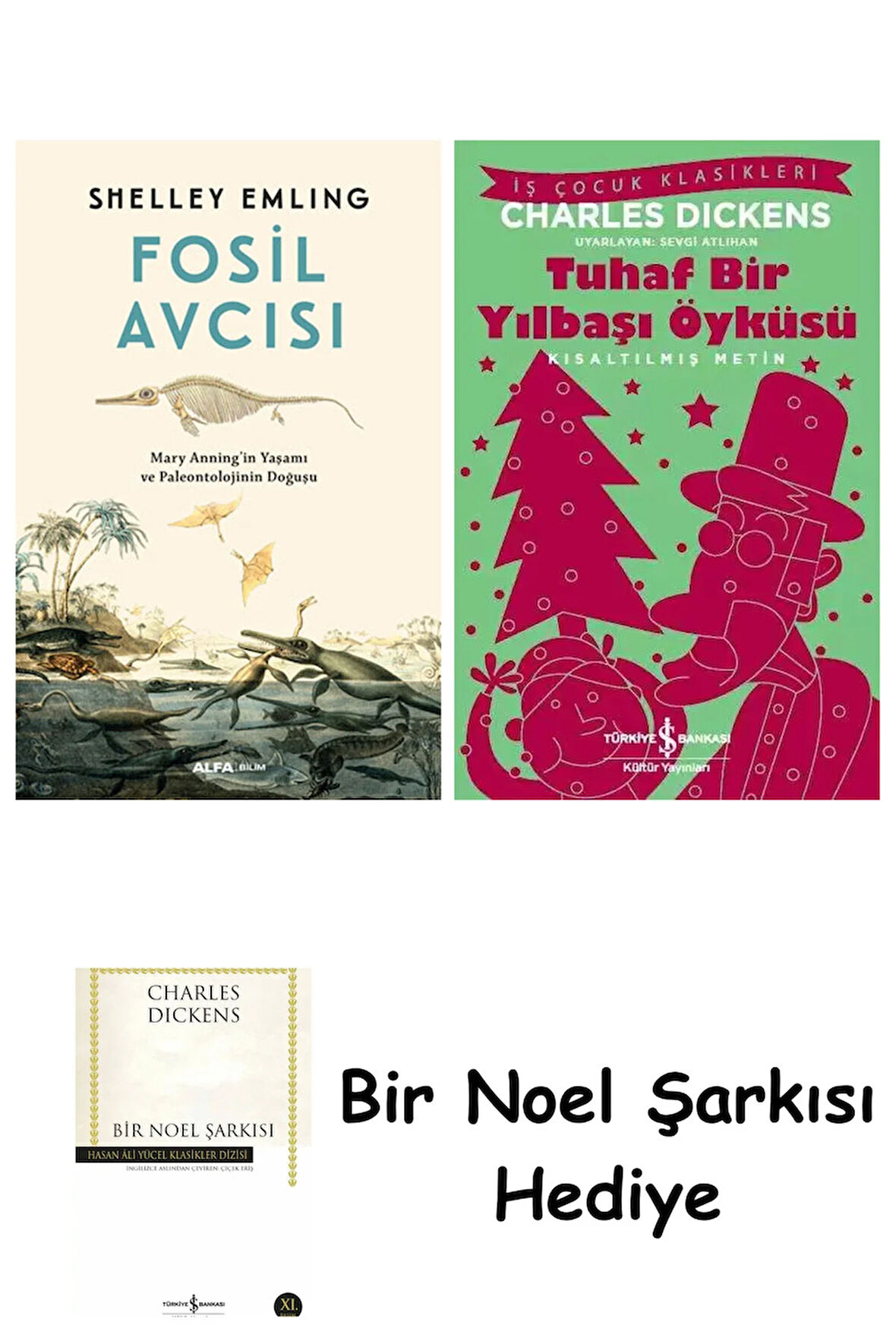 Fosil Avcısı + Tuhaf Bir Yılbaşı Öyküsü + Bir Noel Şarkısı