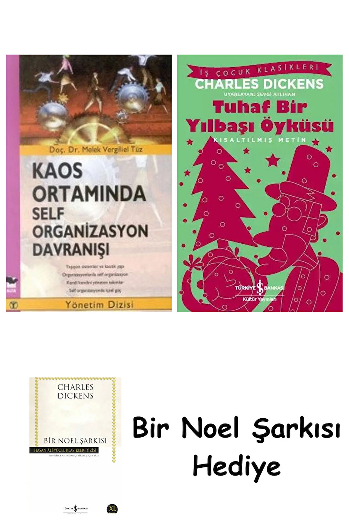 Kaos Ortamında Self Organizasyon Davranışı + Tuhaf Bir Yılbaşı Öyküsü + Bir Noel Şarkısı
