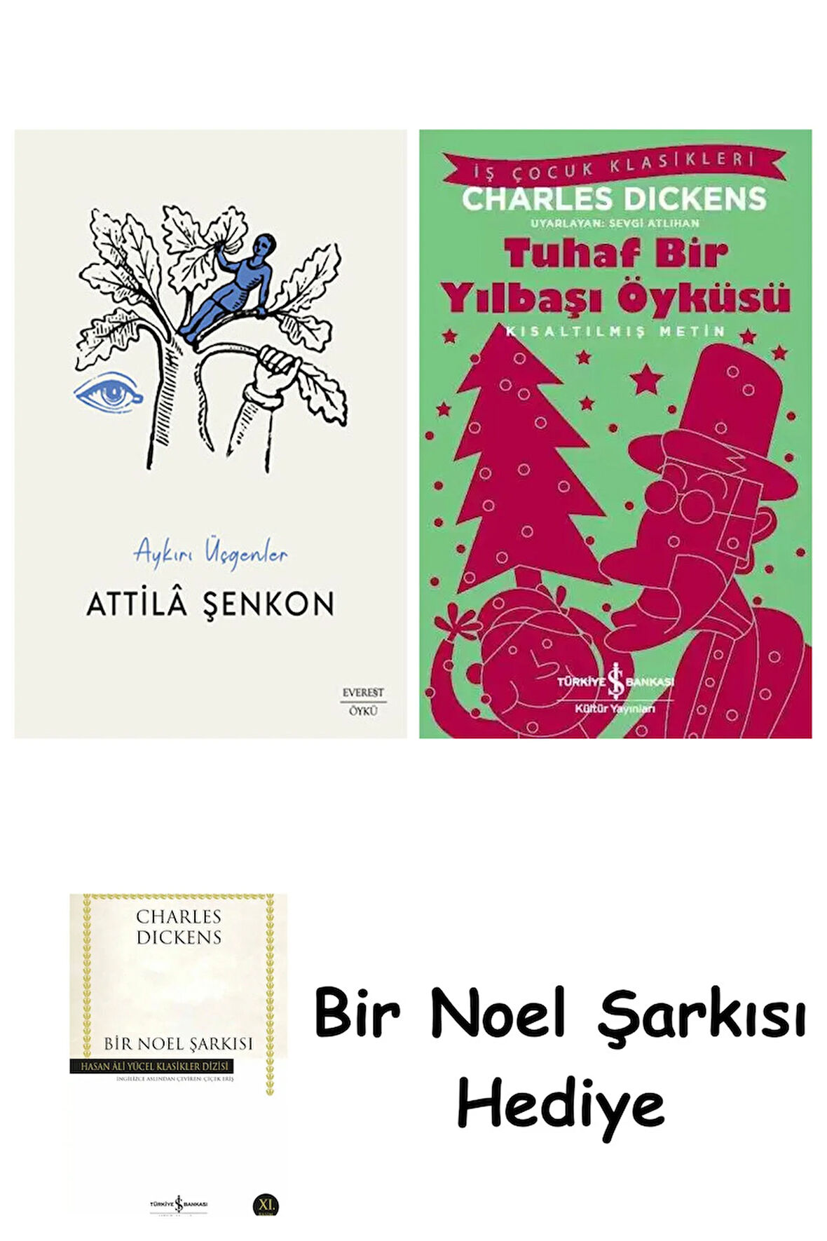 Aykırı Üçgenler + Tuhaf Bir Yılbaşı Öyküsü + Bir Noel Şarkısı