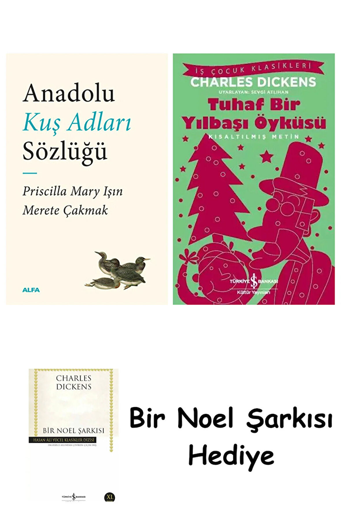 Anadolu Kuş Adları Sözlüğü + Tuhaf Bir Yılbaşı Öyküsü + Bir Noel Şarkısı
