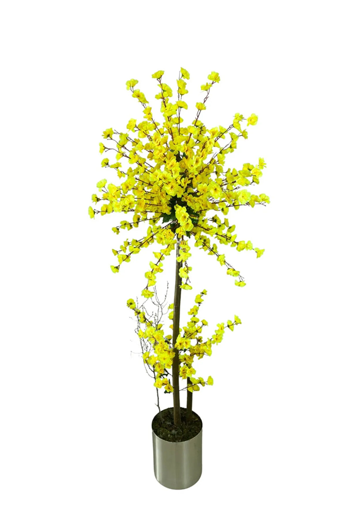 Atom Sarı Bahar Dalı 180 Cm 25x25 Metal Saksı