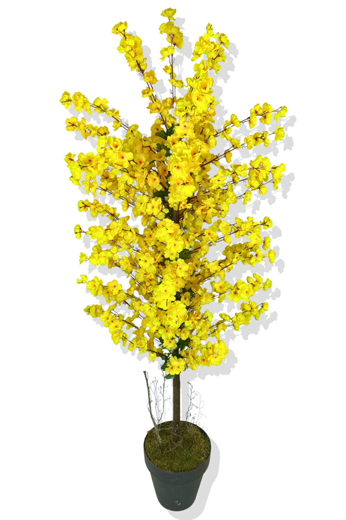 Yapay Ağaç Sarı Bahar Dalı 160 Cm Üretim Saksısı