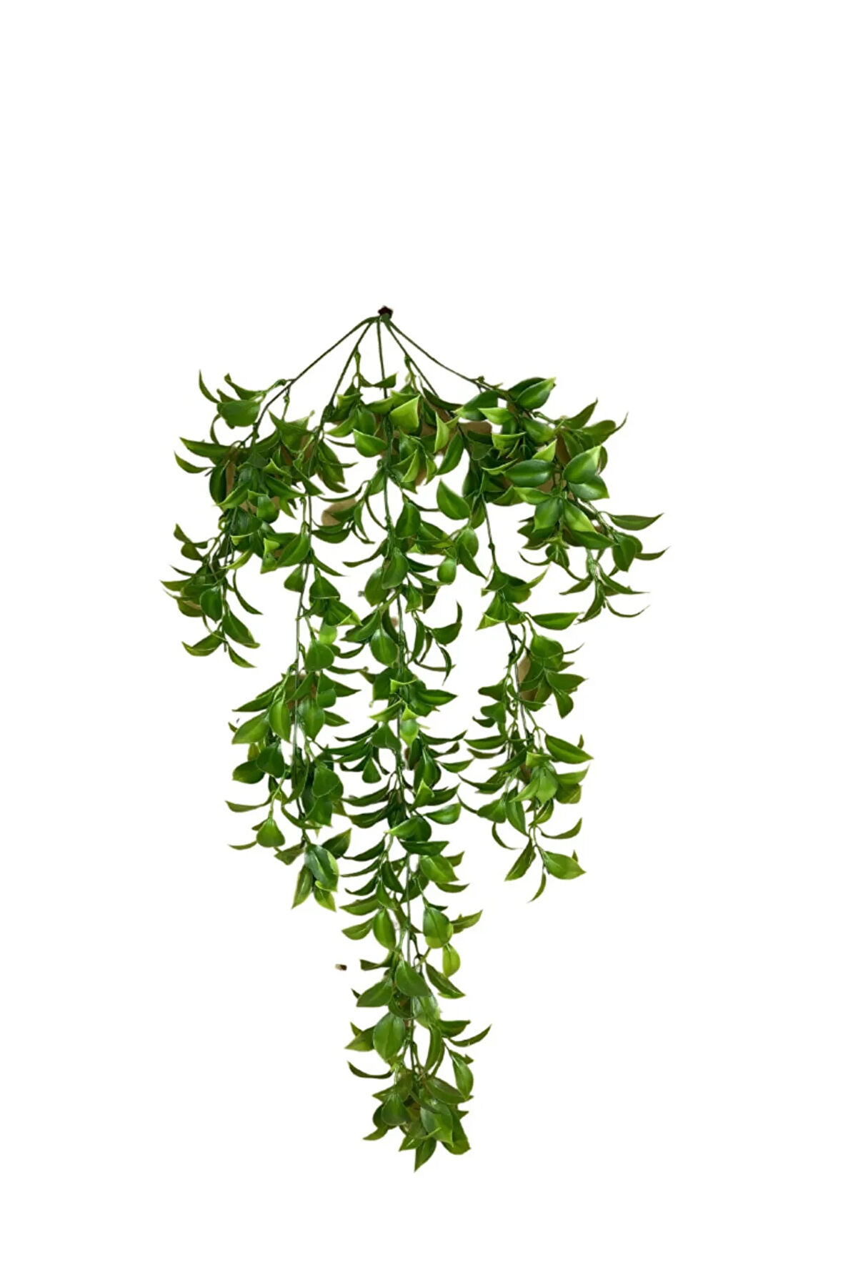 Limon Yaprağı 5 Dallı Sarkıt 80x50