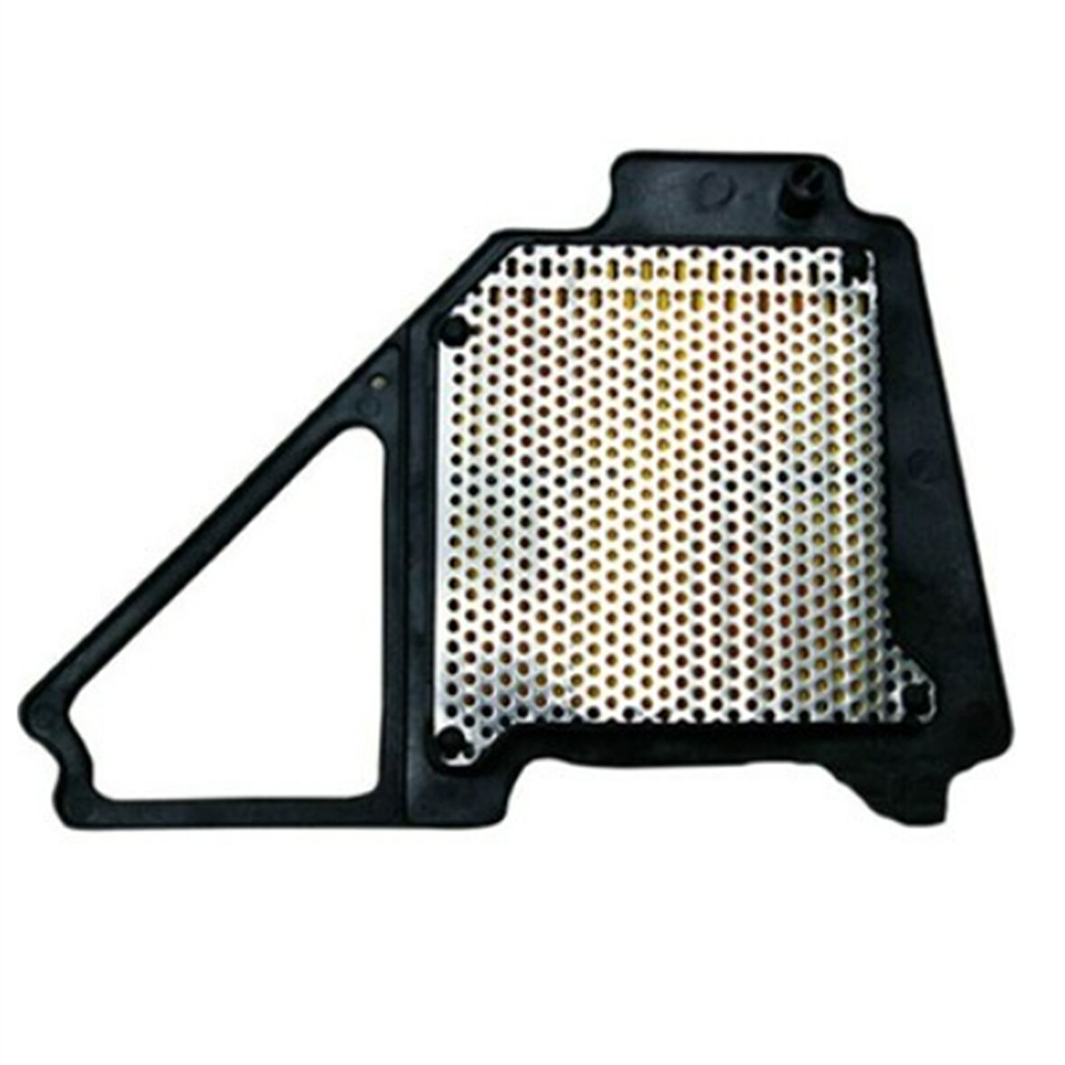 Genel Markalar Hava Filtresi Ybr 125 2006
