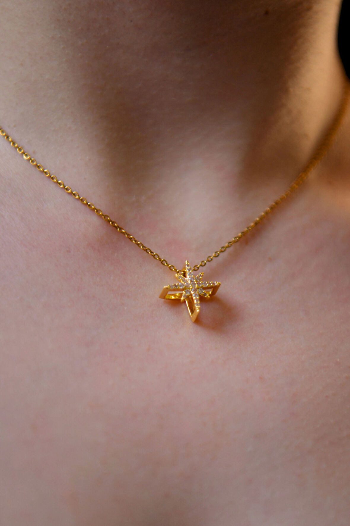 3d Zirkon Taşlı Kutup Yıldızı Model Kadın Çelik Kolye