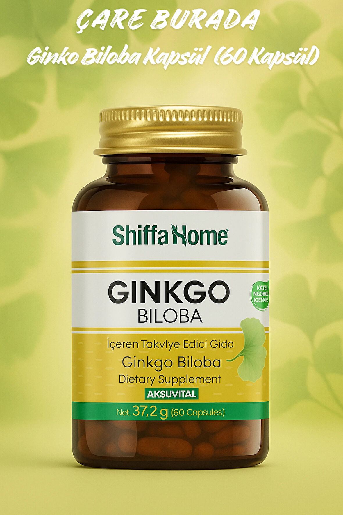 Aksu Vital Gingko Biloba Ginko Biloba Kapsül 620 Gr 60 Adet