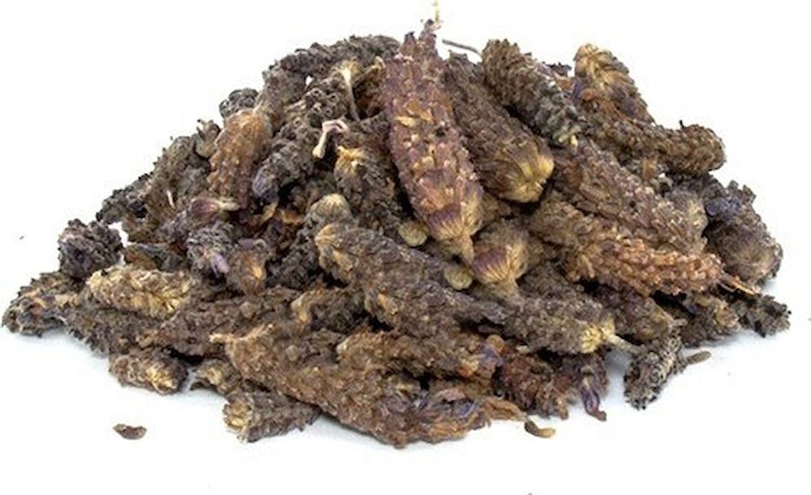 Karabaş Otu 100 Gr