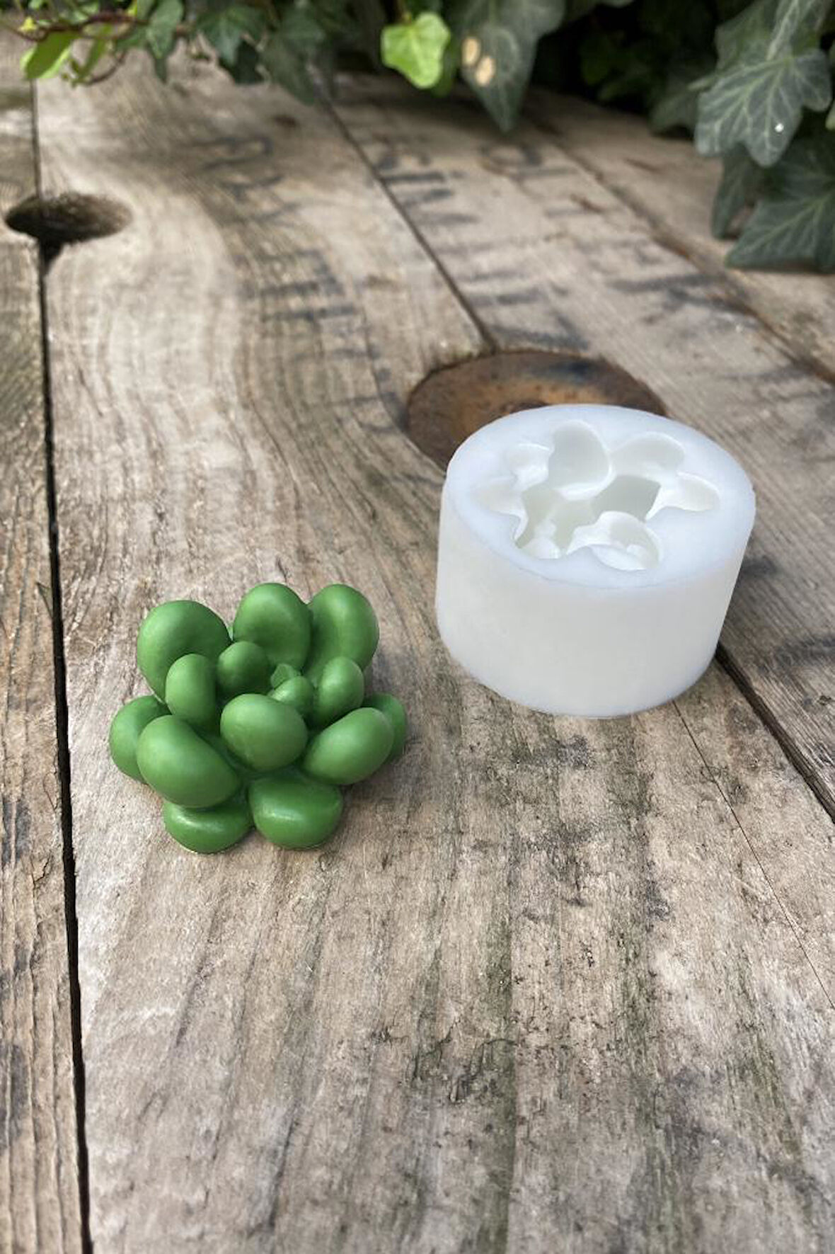 Moonstone Sukulent- Damla Kaktüs Mum Kalıbı ( Silikon ) 1 Adet