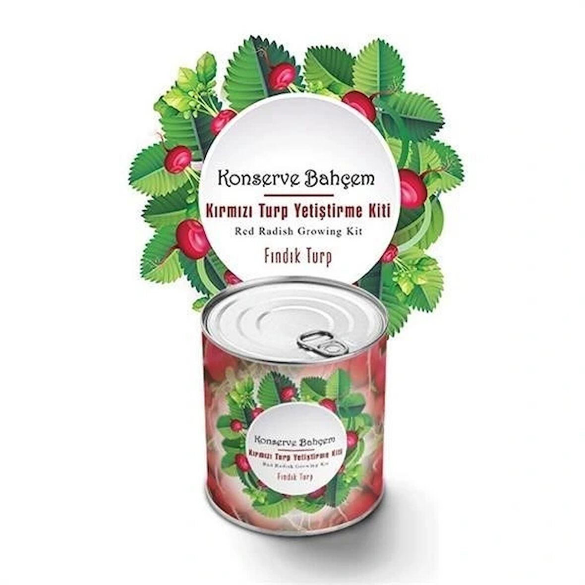 Leyloş Konserve Bahçem Evde Konservede Fındık Turp Yetiştirme Kiti
