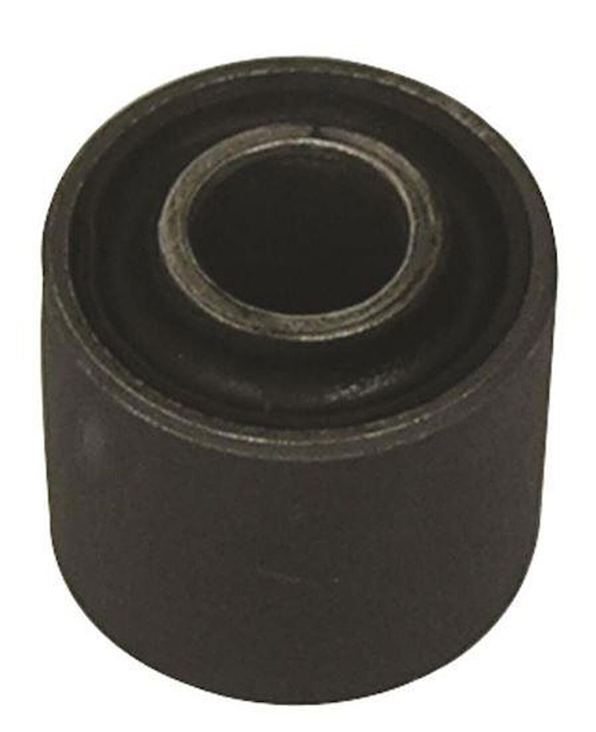 Skm Arka Amörtisör Burcu Demirli Sct