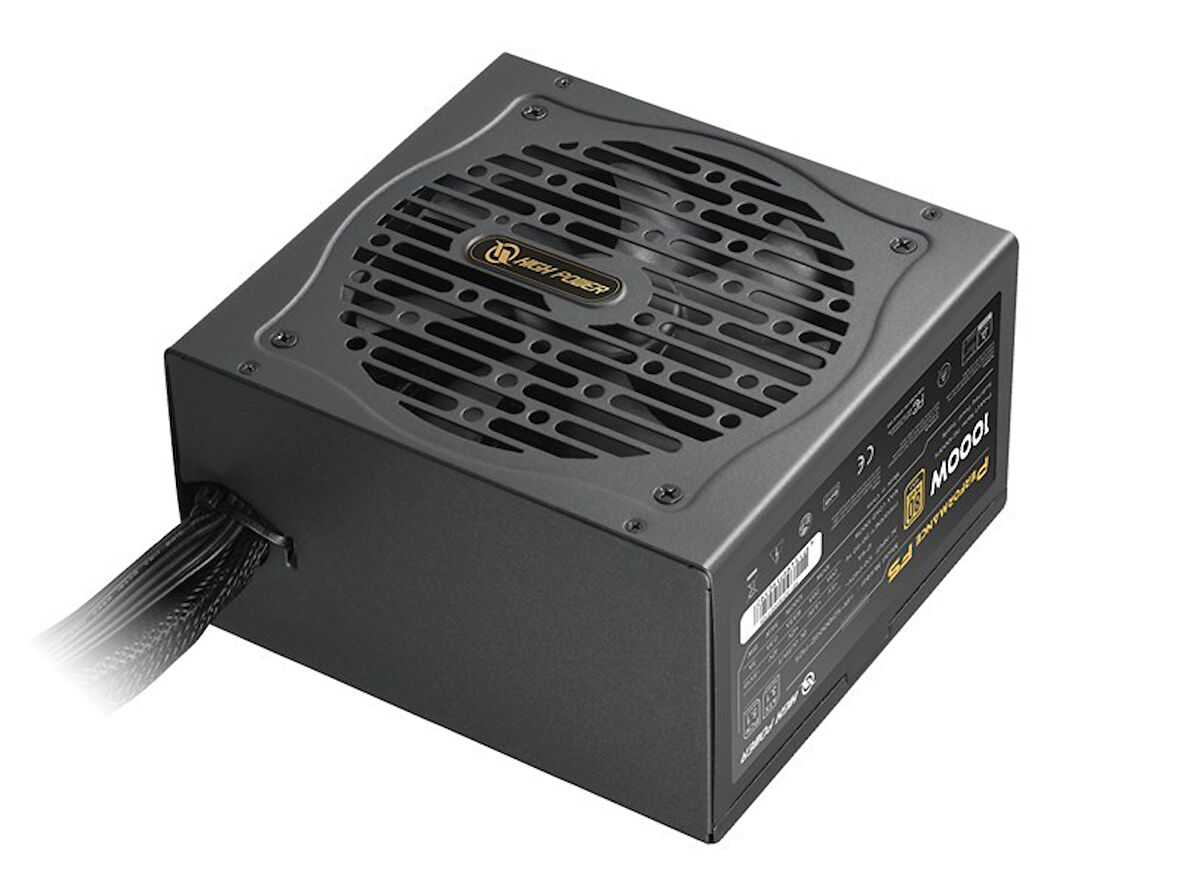 High Power 1000W 80+ Gold PCIE5.1 (Performance)