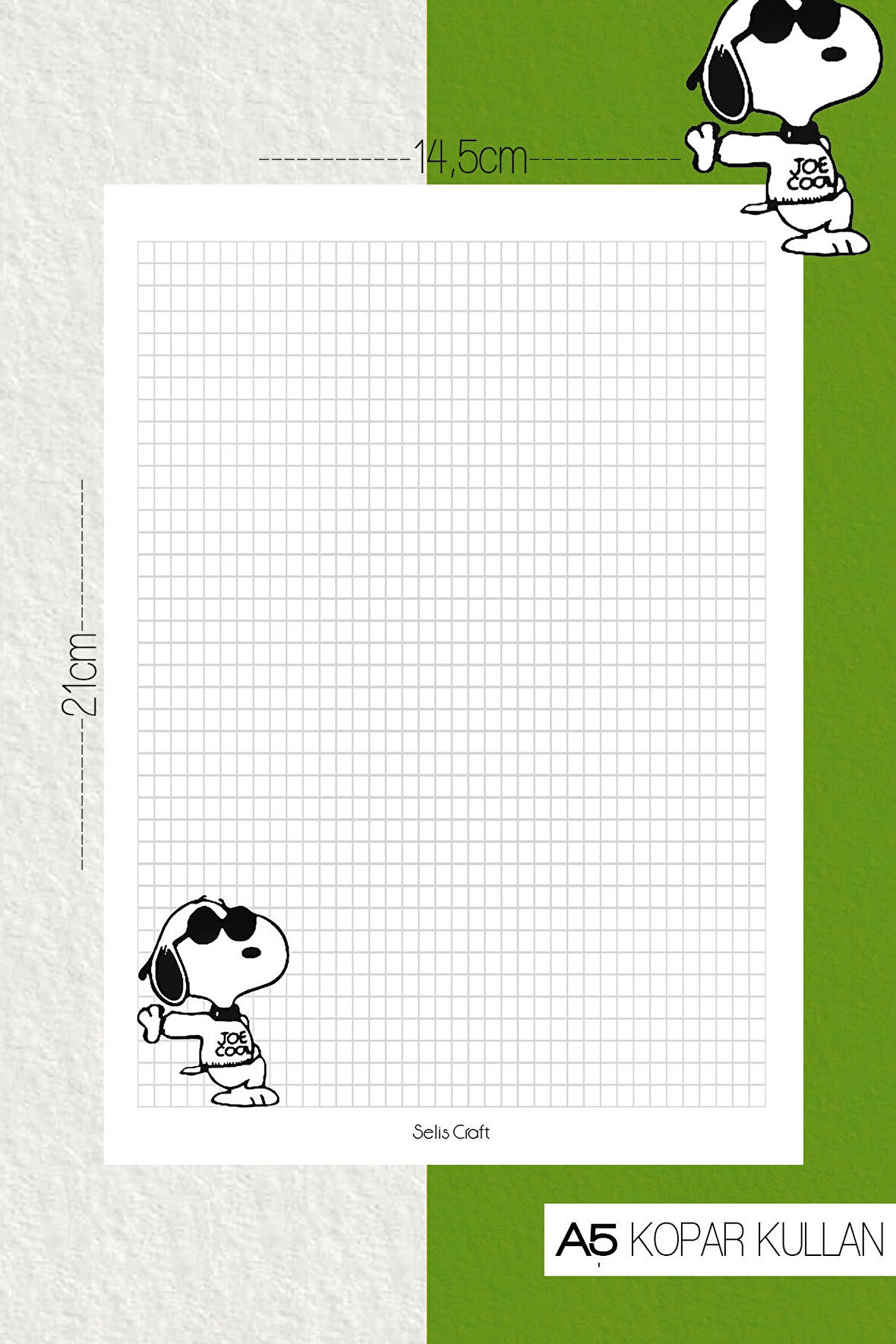 Snoopy Desenli Kareli Notepad 07 Günlük Planlayıcı, Defter, To Do List, Not Defteri, Ajanda