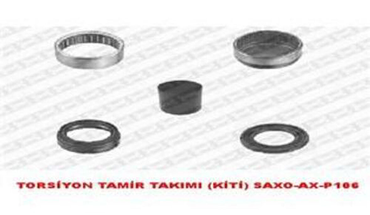 SNR KS55906 Torsiyon Tamir Takımı Rulman Kiti P106 Asaxo Tu9 Tu1 Motor 3 Bijon 965908S