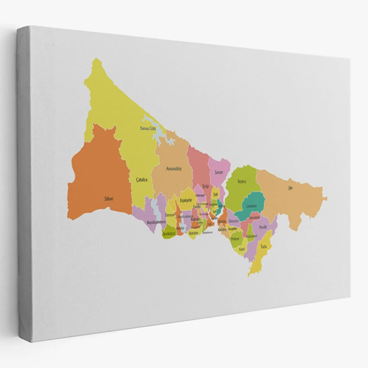İstanbul İlçeleri Haritası Dekoratif Kanvas Tablo, Duvar Dekoru 1017